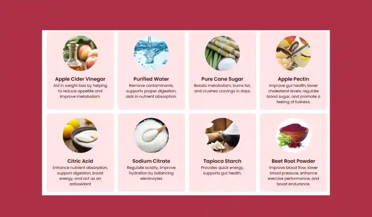 Lipo gummies Ingredients